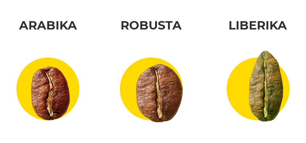 Trys skirtingų rūšių pupelės su užrašais "Arabika Robusta Liberika"