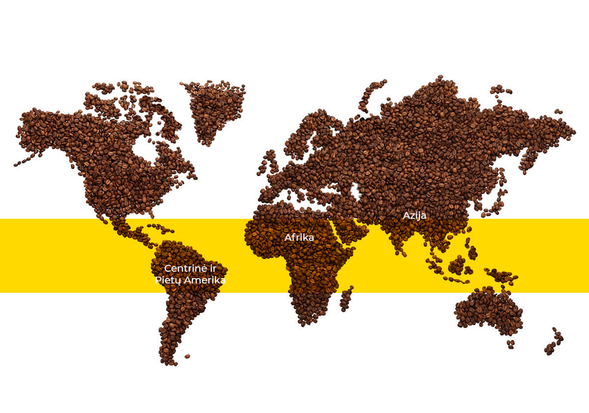 Žemynų kontūrai sudėliot iš kavos pupelių