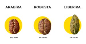 Kofeinas pagal pupelių rūšį