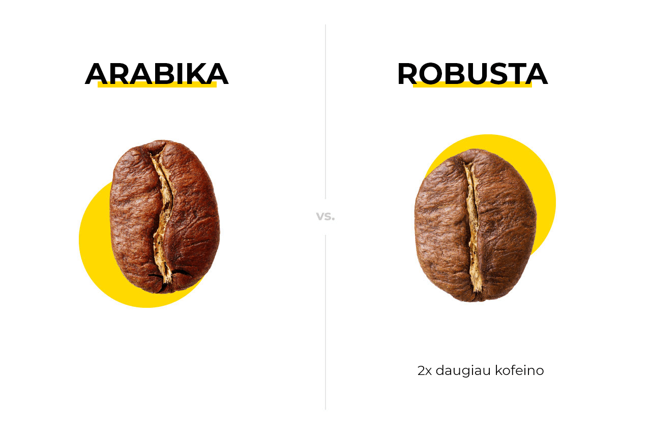 Arabika ir robusta