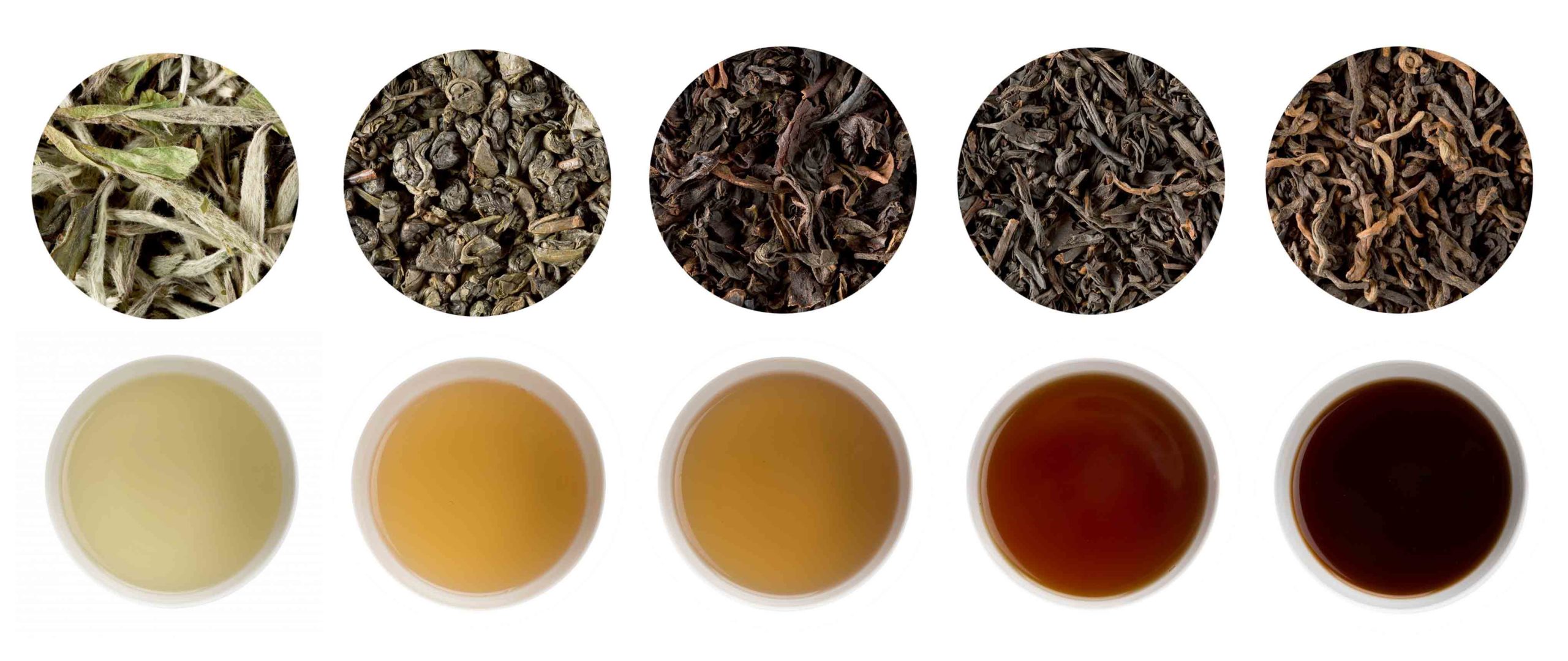 Guide der Teesorten 