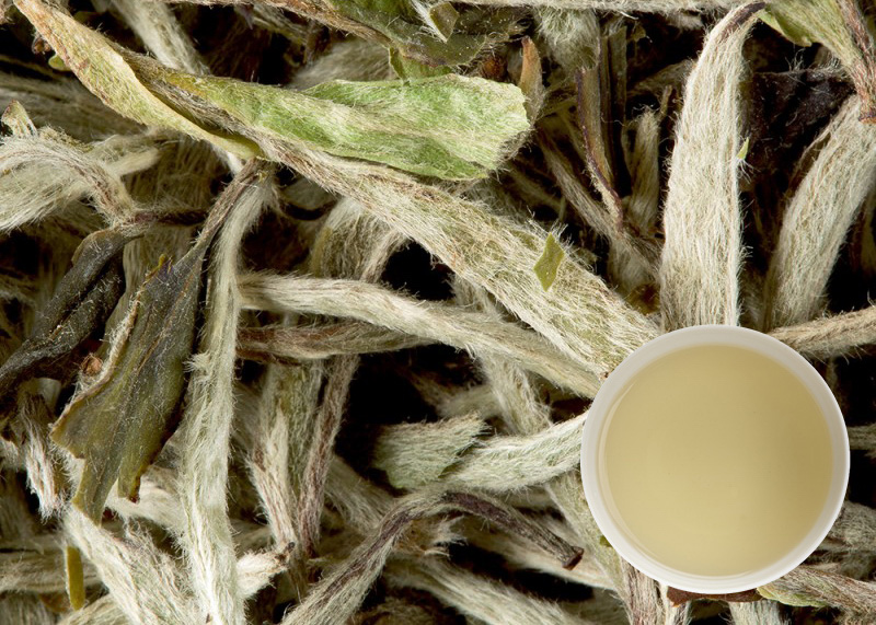 White Tea