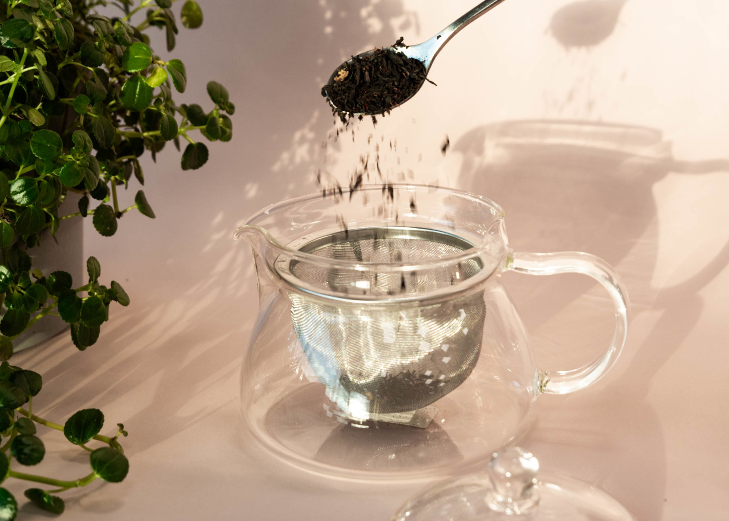 Richtiges Tee zu Wasser Verhältnis