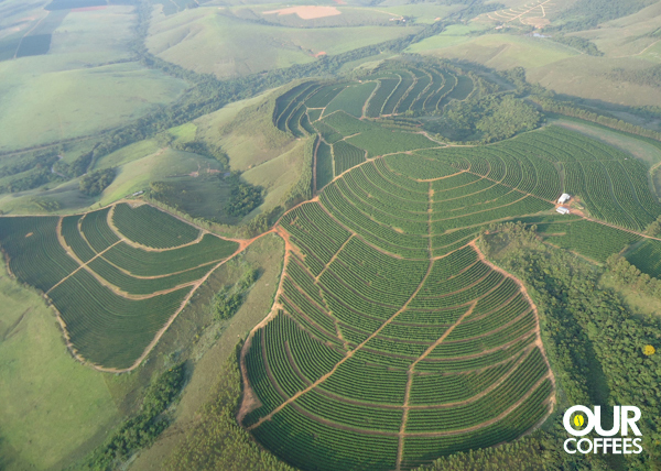 Brazil Santa Luzia plantation